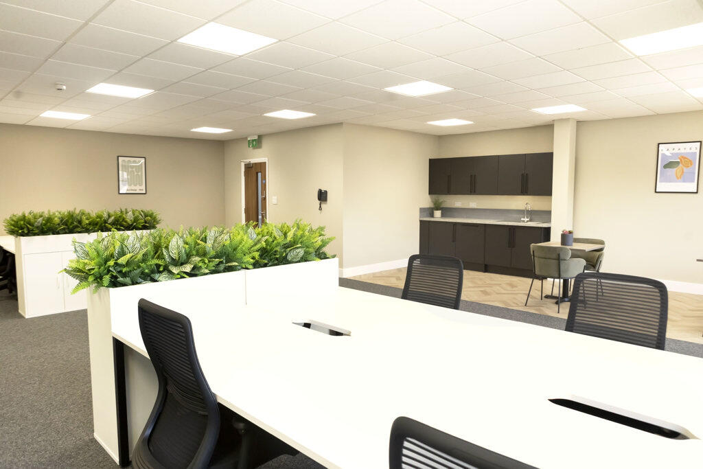 Suite 1