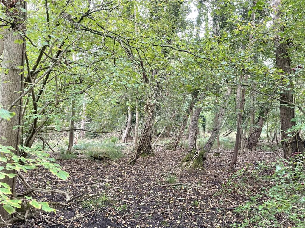 Main image of property: Whittlesford, South Cambridgeshire, CB22