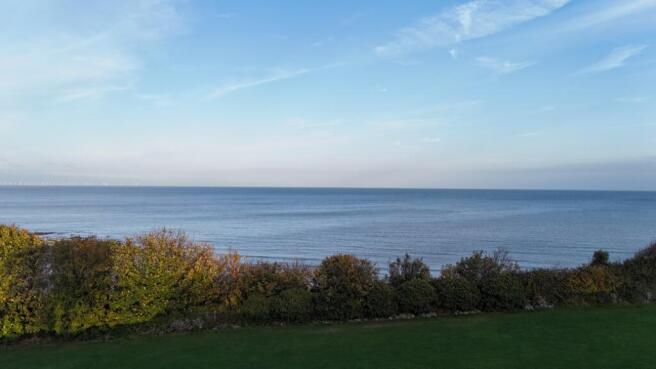 View from plot 9