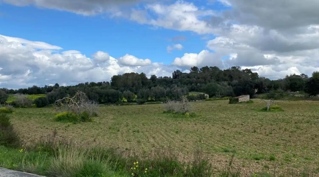 Main image of property: Balearic Islands, Mallorca, LlubÃ
