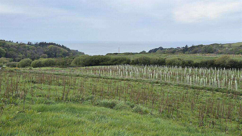 Main image of property: Dibbons Lane, Nr. Lincombe, Lee