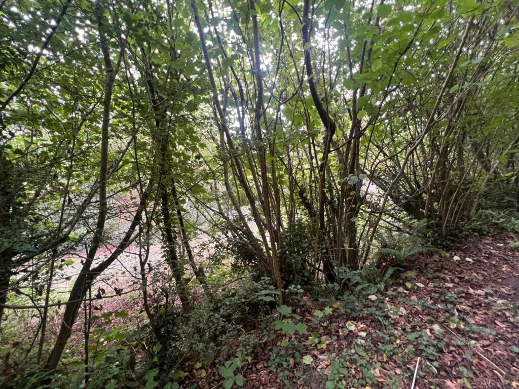 Abercych, Boncath, SA37 - View 4