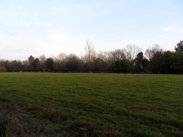 Photo of the property