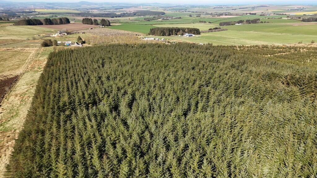 Additional image 9 of Lot 1 Woodland at Broadmuir, Hill of Fisherie, Turriff, AB53 5QL