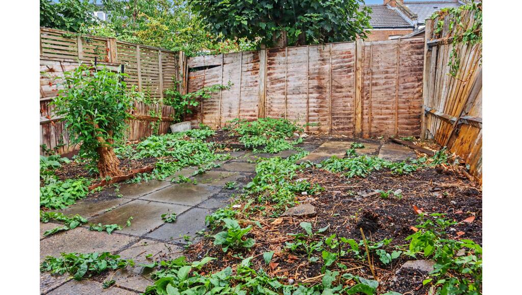 Apartment in London, Manor Park, Streatham - More
