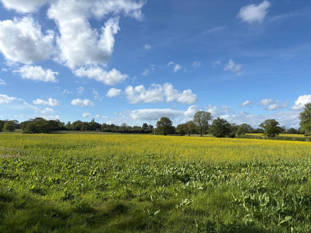 Main image of property: Land at Copmere End - Whole