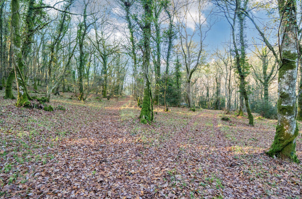 Main image of property: Land Lying To The North West Of Champles Farm, Stoodleigh, Tiverton, Devon, EX16