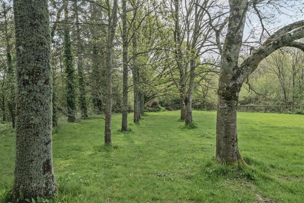 Additional image 26 of East Coker, Yeovil