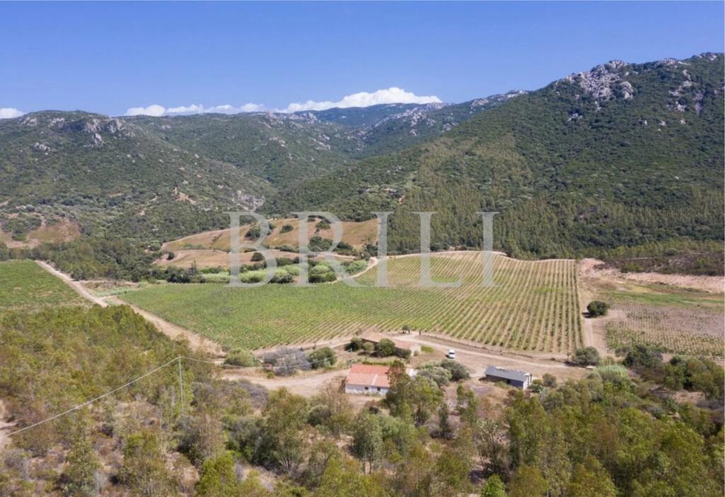 Main image of property: Italy