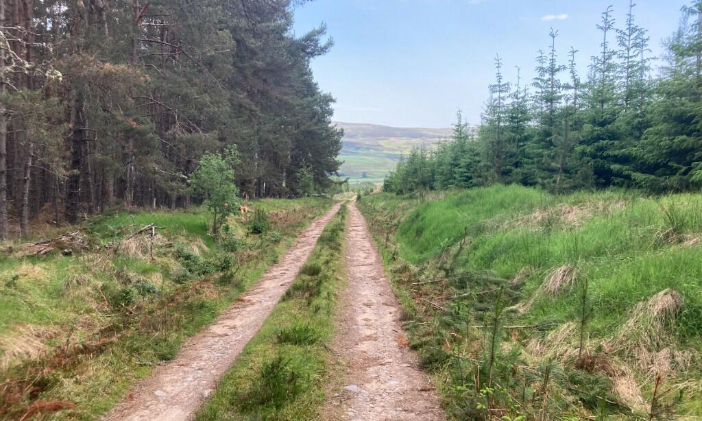 Main image of property: Glenkirk Wood, Tomatin IV13