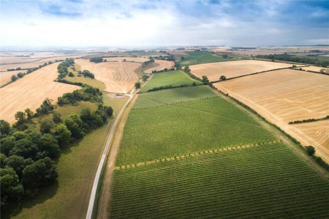 Muston Vineyard