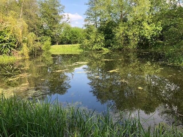 Main image of property: Lot 2 - 74.45 acres, Trehumfrey Farm, Langstone Lane North, Llangarron, Ross On Wye, West Midlands, HR9