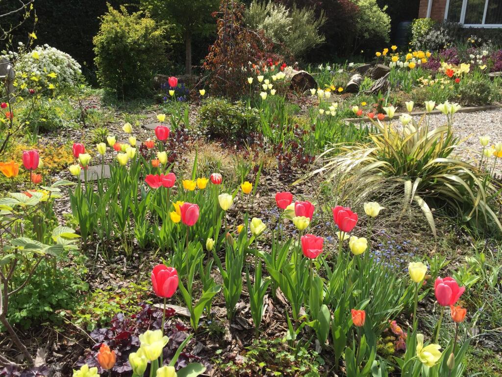 Additional image 37 of Four Ashes Road, Bentley Heath, B93