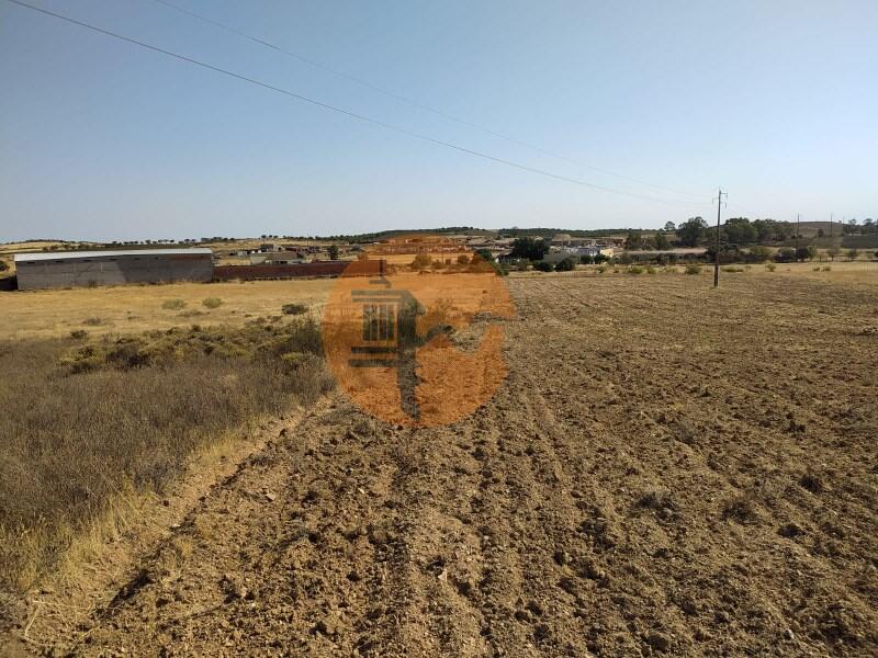 Main image of property: Algarve, Martim Longo