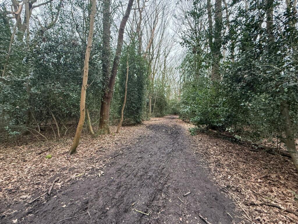 Guardsman Close, Warley, CM14 - View 4