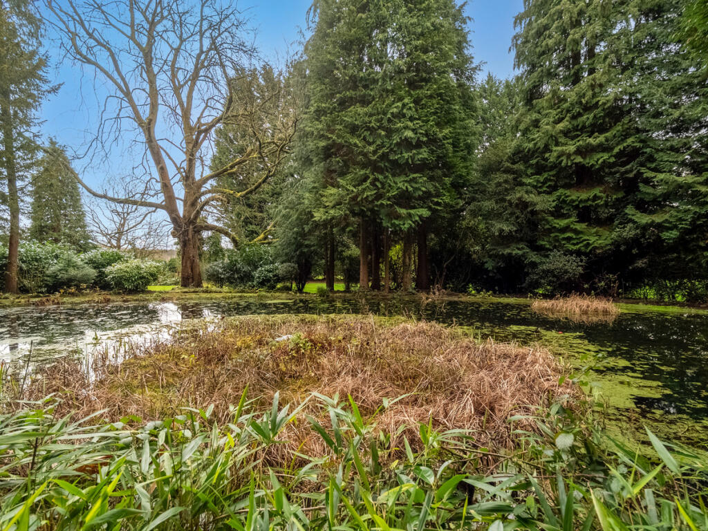 Additional image 8 of Westbourne Road Edgbaston Birmingham, West Midlands, B15 3TR