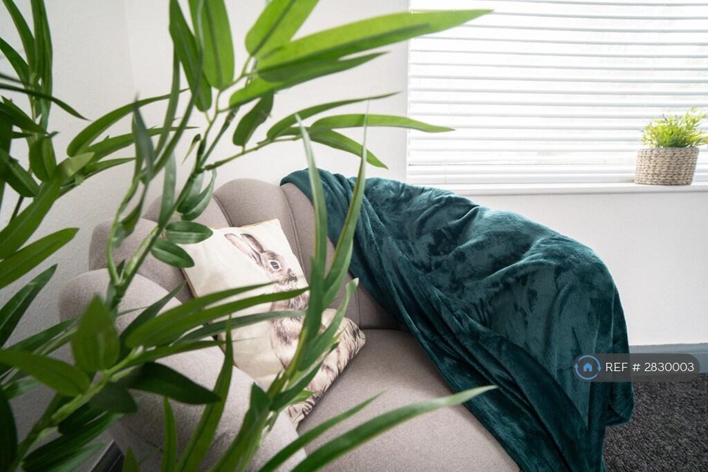 Additional image 6 of Blackburn, Blackburn, BB2