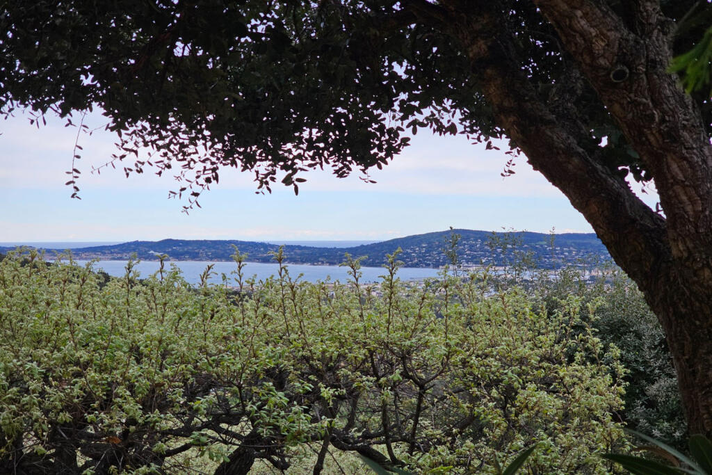 Main image of property: Provence-Alps-Cote d`Azur, Var, Grimaud