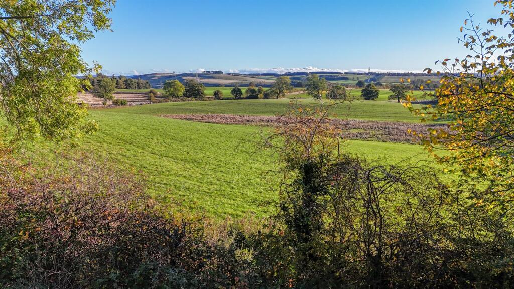 Walker Walls, Yearle, Wooler photo 4