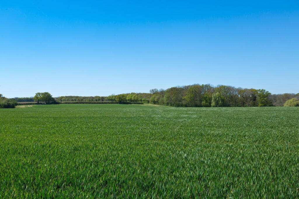 Main image of property: Middleton, Suffolk