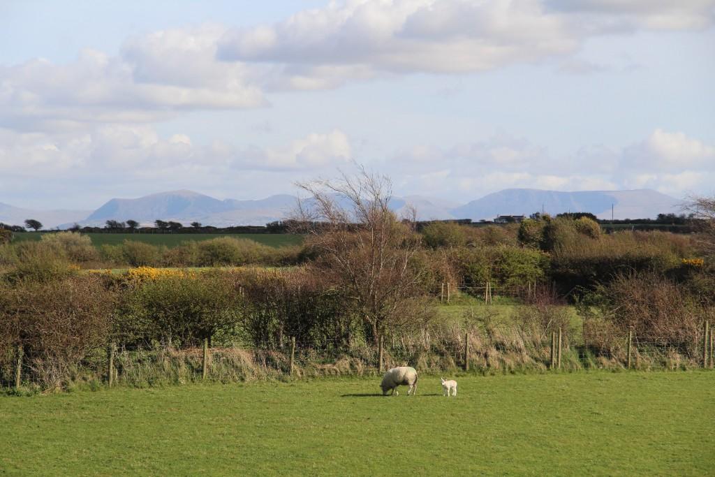 Capel Gwyn, Bryngwran LL65 photo 2