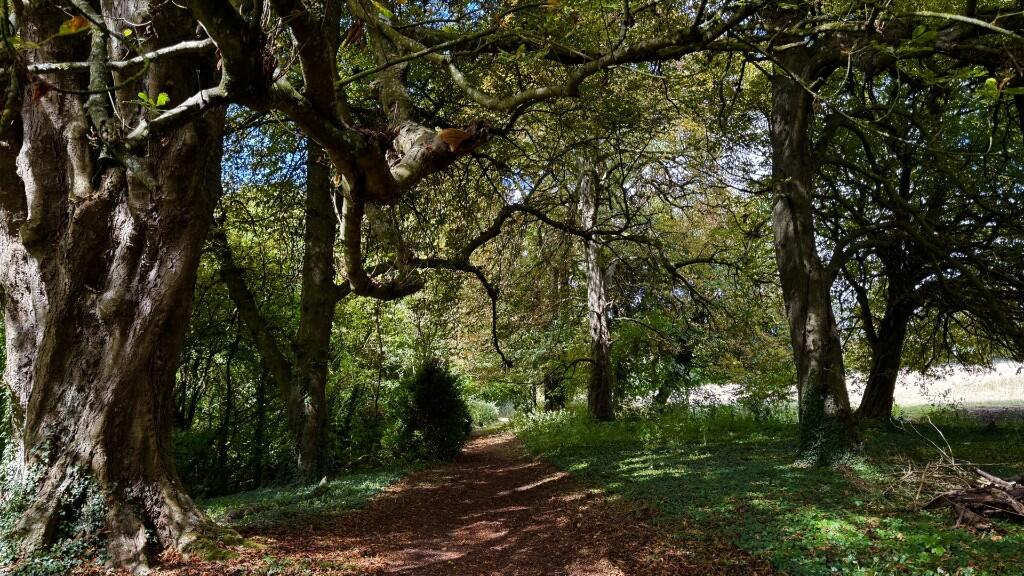 Additional image 29 of Redlynch Park, Redlynch, Bruton, Somerset, BA10 0NH