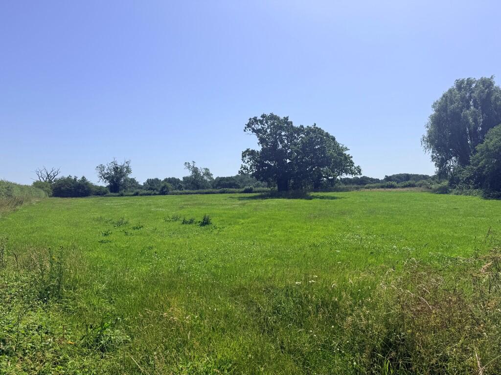 Thatched Farm, Radbourne photo 3
