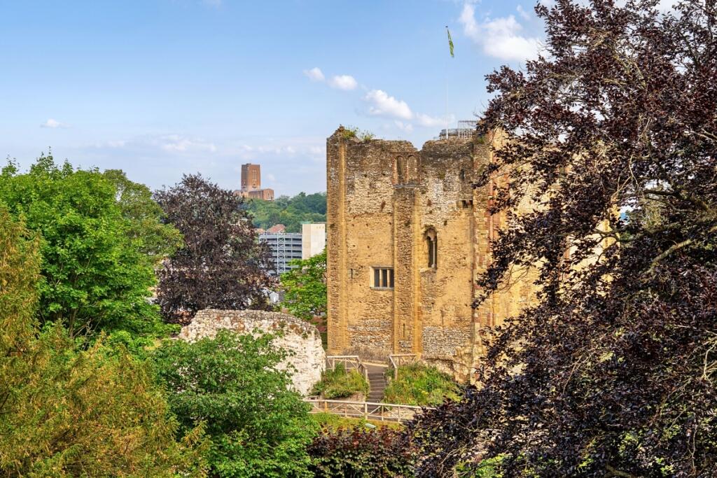 Apartment in Guildford, Charlotteville - View 4