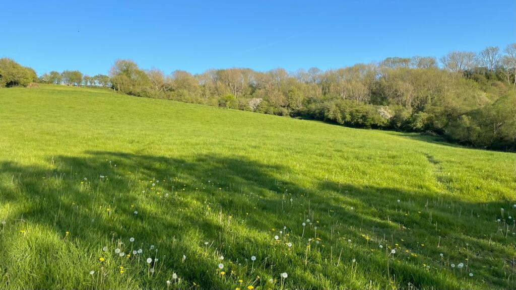 35 acres, Conservation, Midford, Bath, BA2 photo 5