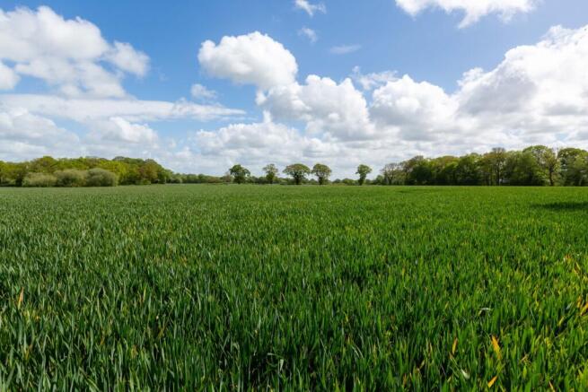 Land - Lot 3