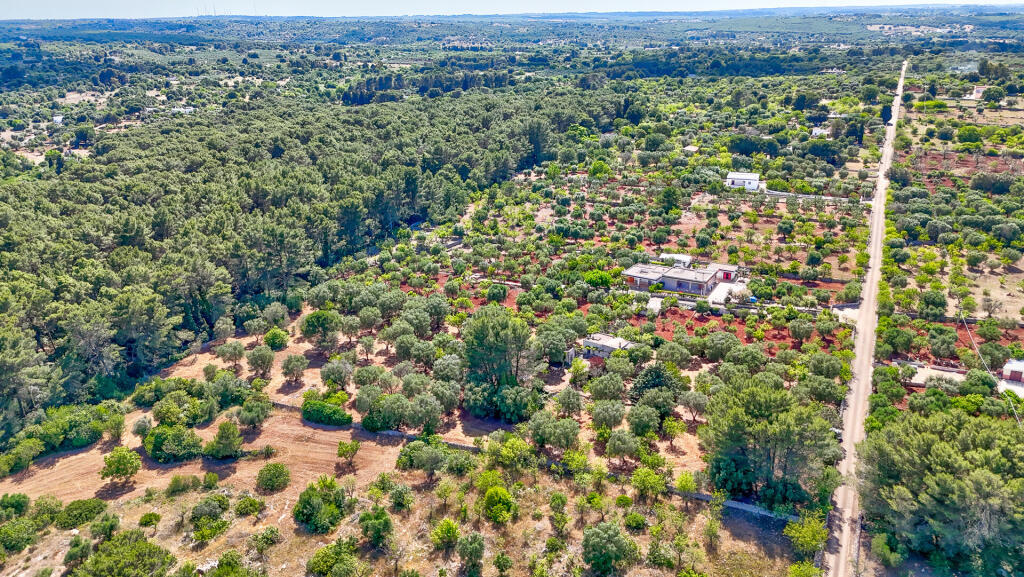 Main image of property: Apulia, Brindisi, Ceglie Messapica