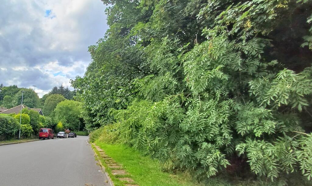 Additional image 33 of Highgate, Bradford, BD9