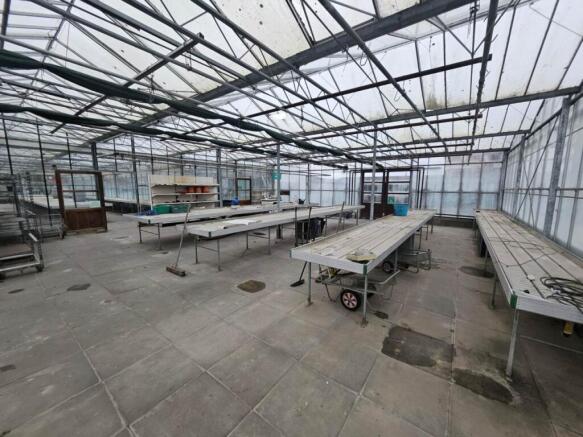 Marden Nurseries (6)