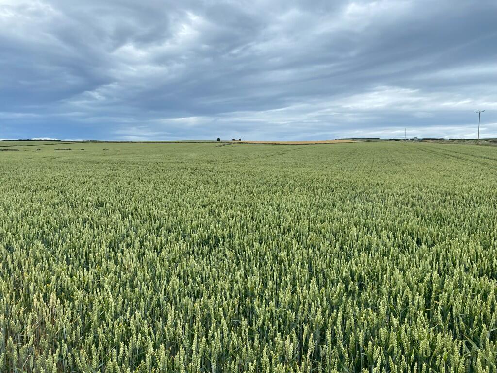 Main image of property: Land at Upton Farm, Loftus, Saltburn-by-the-Sea