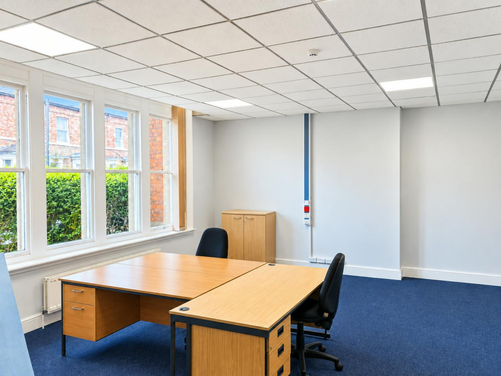 Suite 11 - Image 4.png