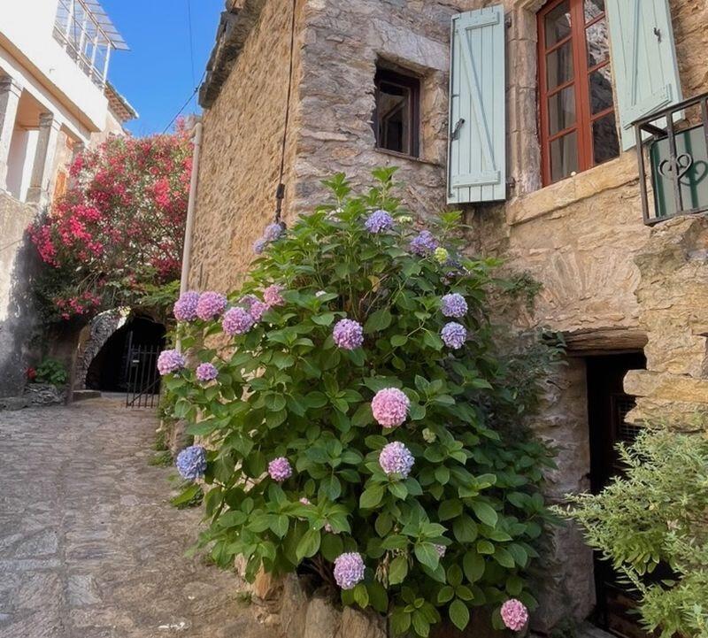 Main image of property: Caussiniojouls, Herault