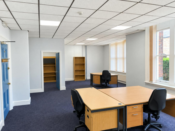 Suite 11 Image 1.png