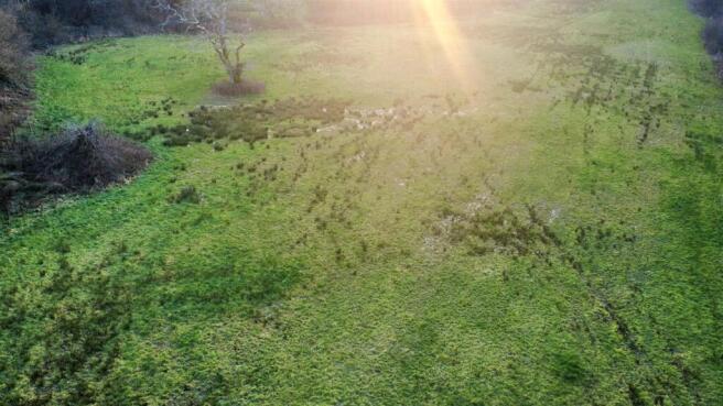 dji_fly_20260304_172906_292_1772659575823_photo_op