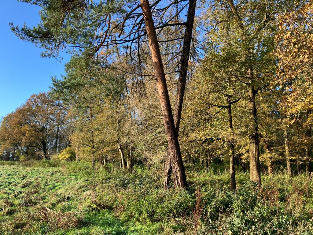 Main image of property: Dark Lane, Tidmarsh, Pangbourne, Reading