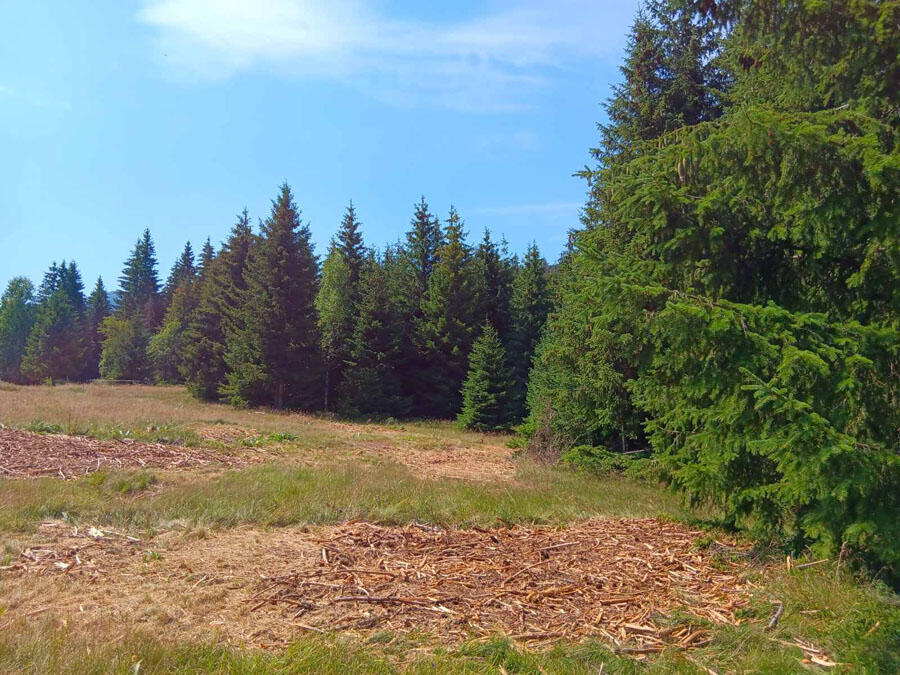 Main image of property: Chuprene, Vidin