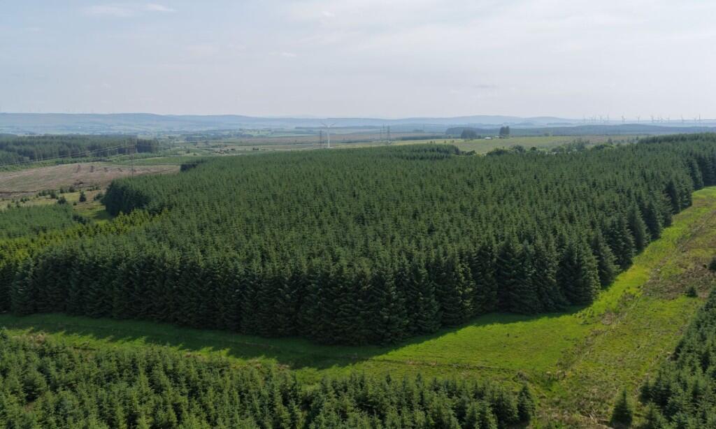 Main image of property: Ardochrig Wood, S.Lanarkshire G75