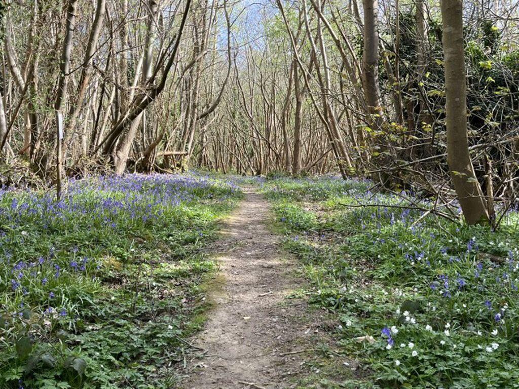 Wartling Road, Herstmonceux photo 3