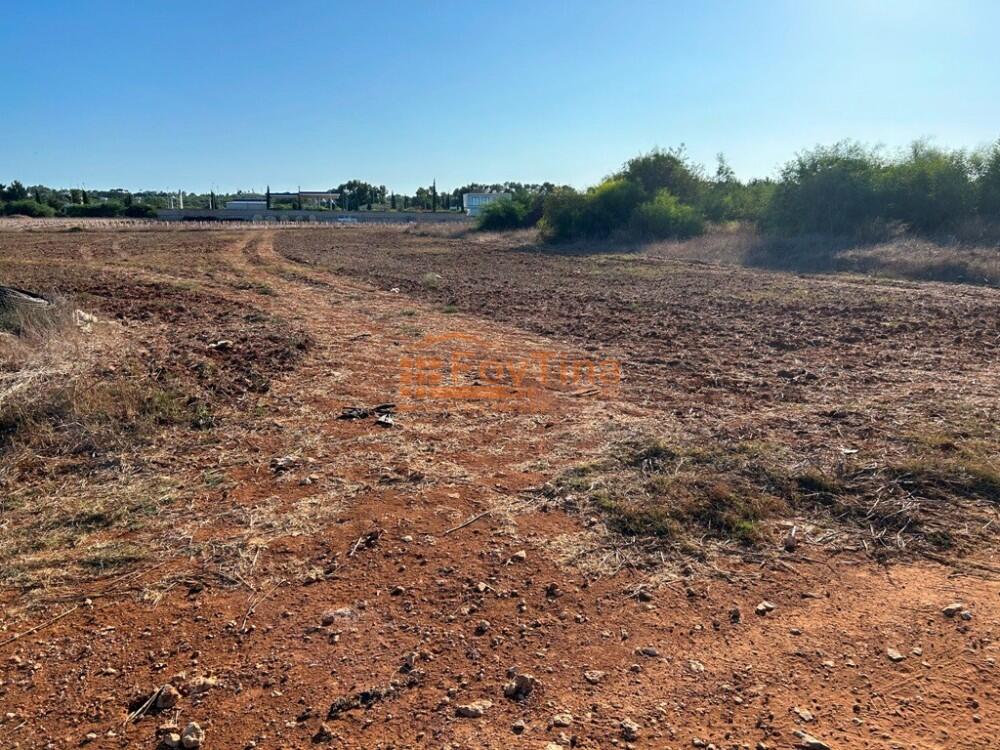 Main image of property: Famagusta, Paralimni