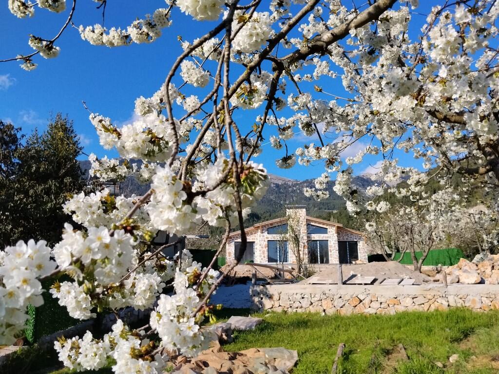 Main image of property: Arpacik, Fethiye, Mugla