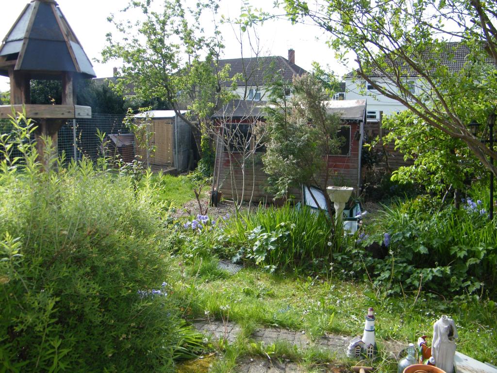 Photo of the property