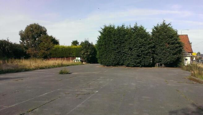 PHOTO-2026-06-13-10-43-48 (3)