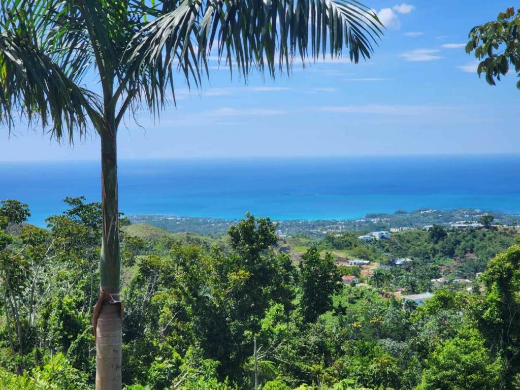 Main image of property: Samaná, Las Terrenas