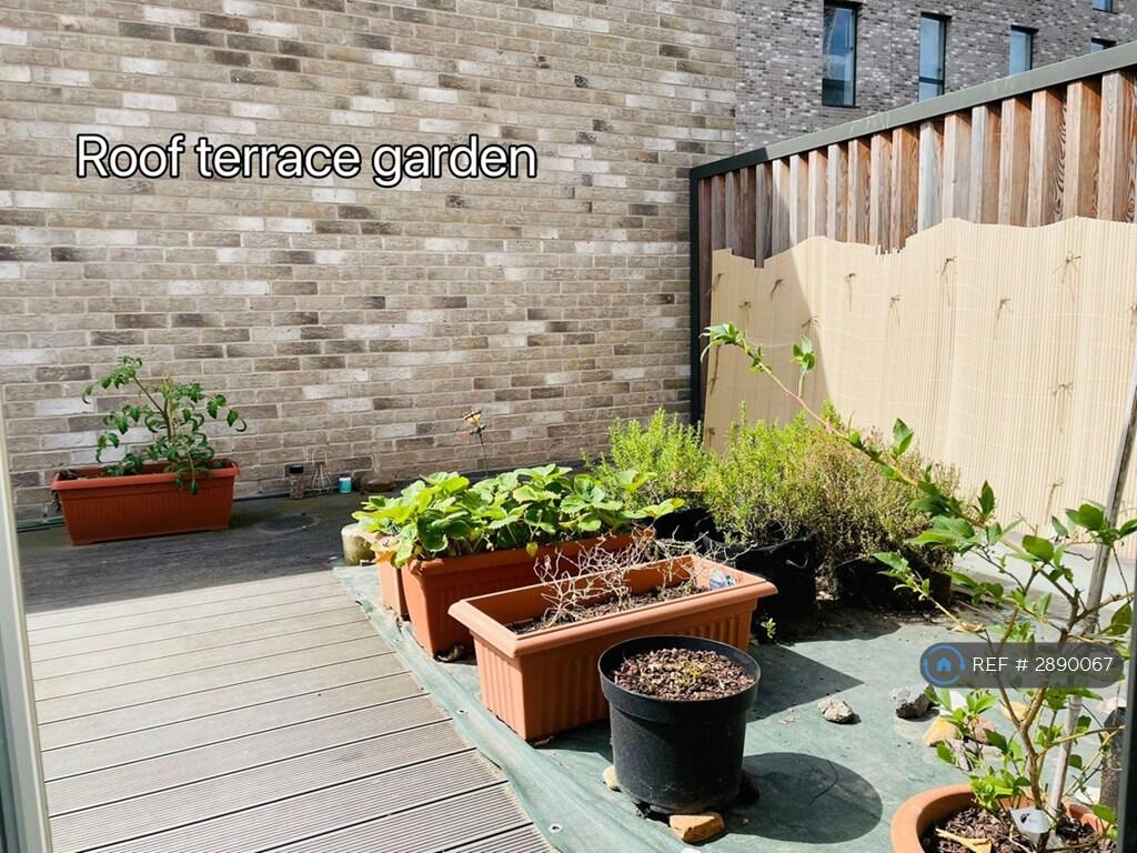 3 bedroom terraced house for rent