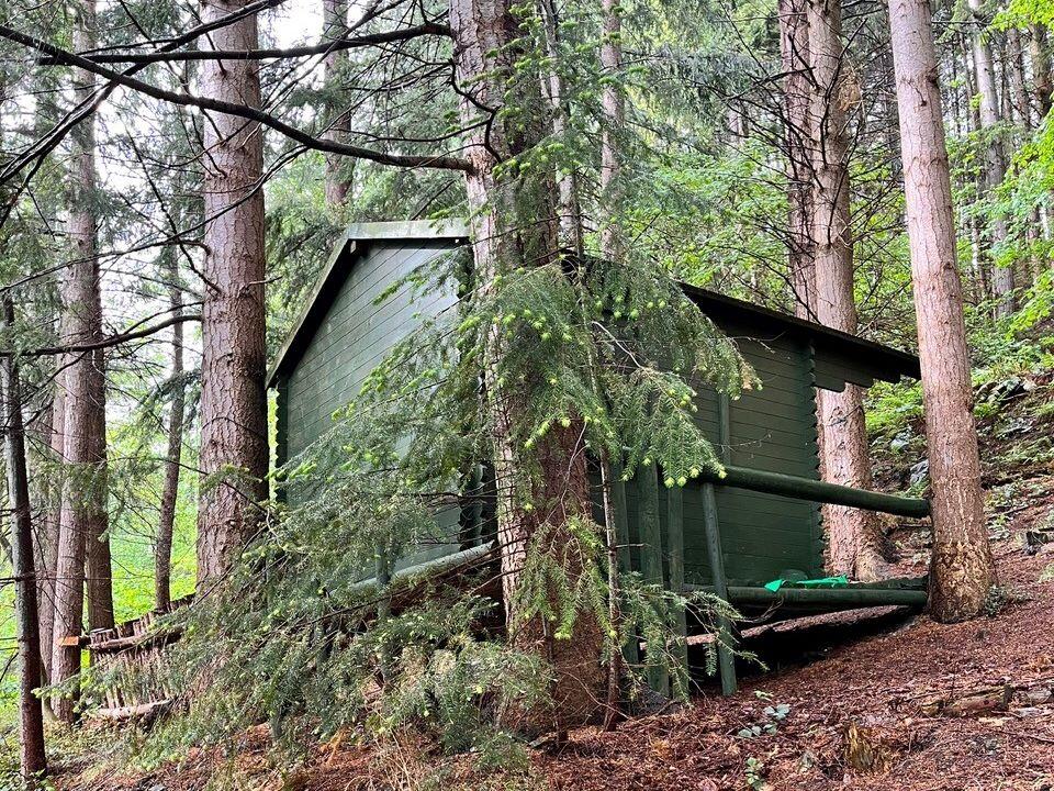 Main image of property: Middle Bank Wood, Coed Bwlch, Rhysgog, Llangollen, Denbighshire, LL20 8BW