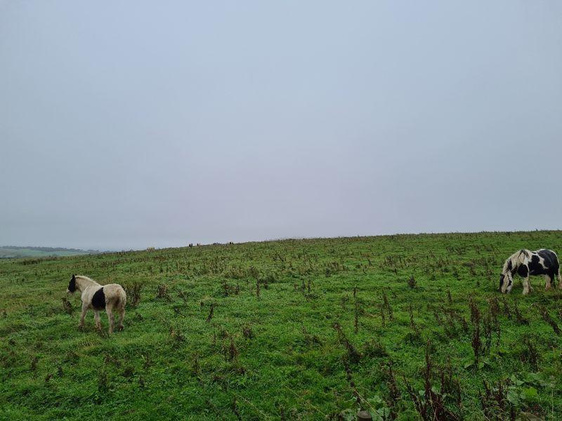 Land for sale in Whalley Old Road, Blackburn - Parcel Of Road Fronted Land Approx 1.5 Acres, BB6 – pohled 3